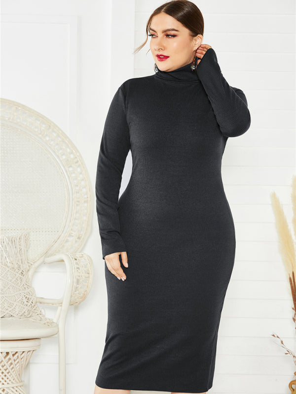 Women's Plus Size Solid Color Knit Turtleneck Long Sleeve Dress