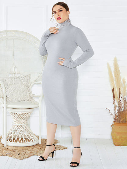 Women's Plus Size Solid Color Knit Turtleneck Long Sleeve Dress