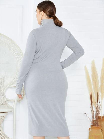 Women's Plus Size Solid Color Knit Turtleneck Long Sleeve Dress