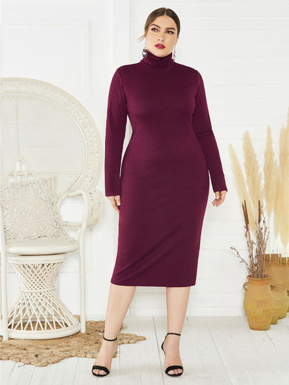 Women's Plus Size Solid Color Knit Turtleneck Long Sleeve Dress