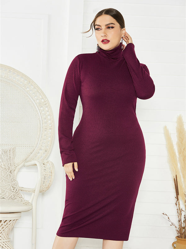 Women's Plus Size Solid Color Knit Turtleneck Long Sleeve Dress